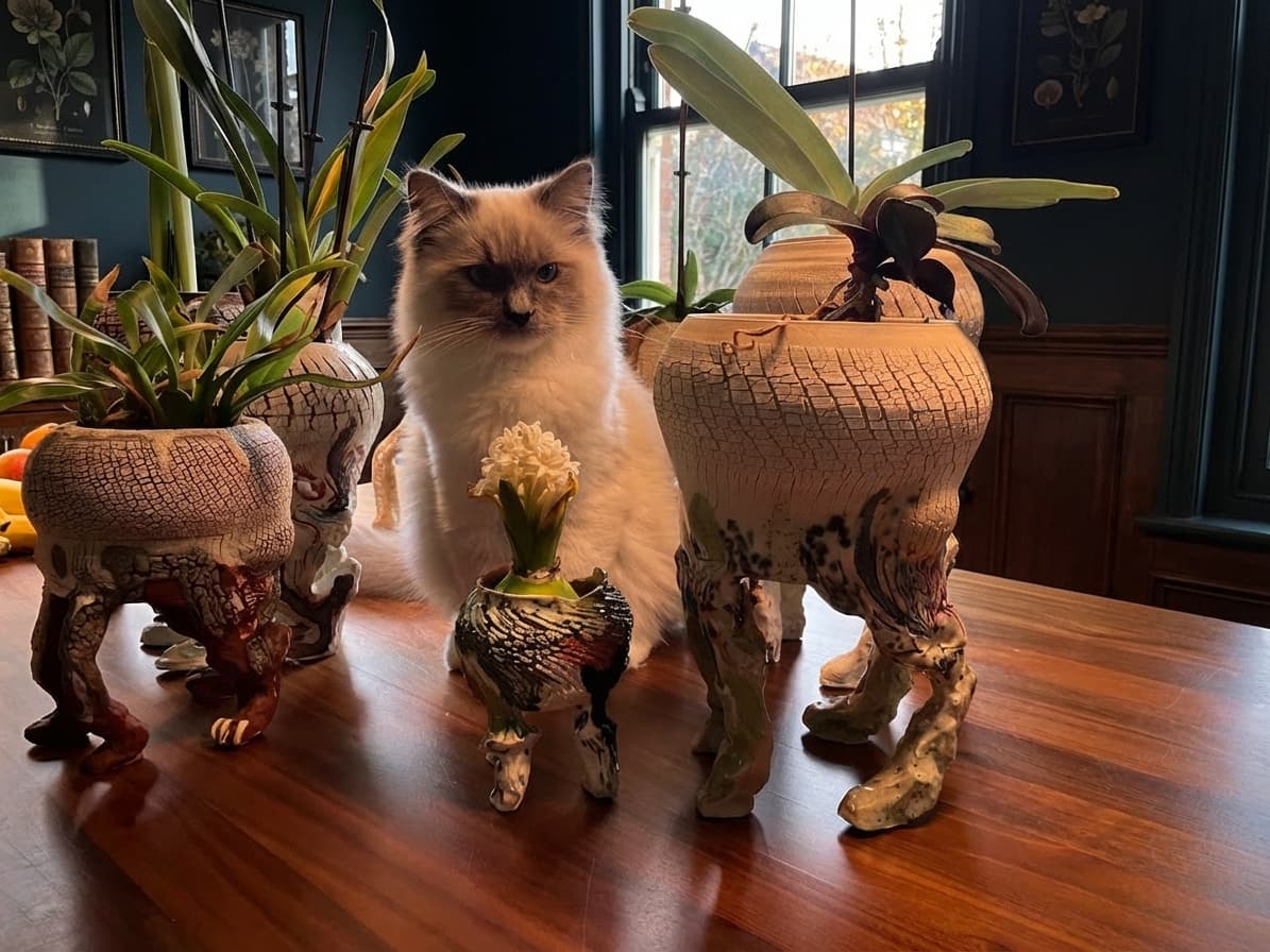 Collection of vessels with cat